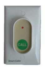 Wireless Call-Point
